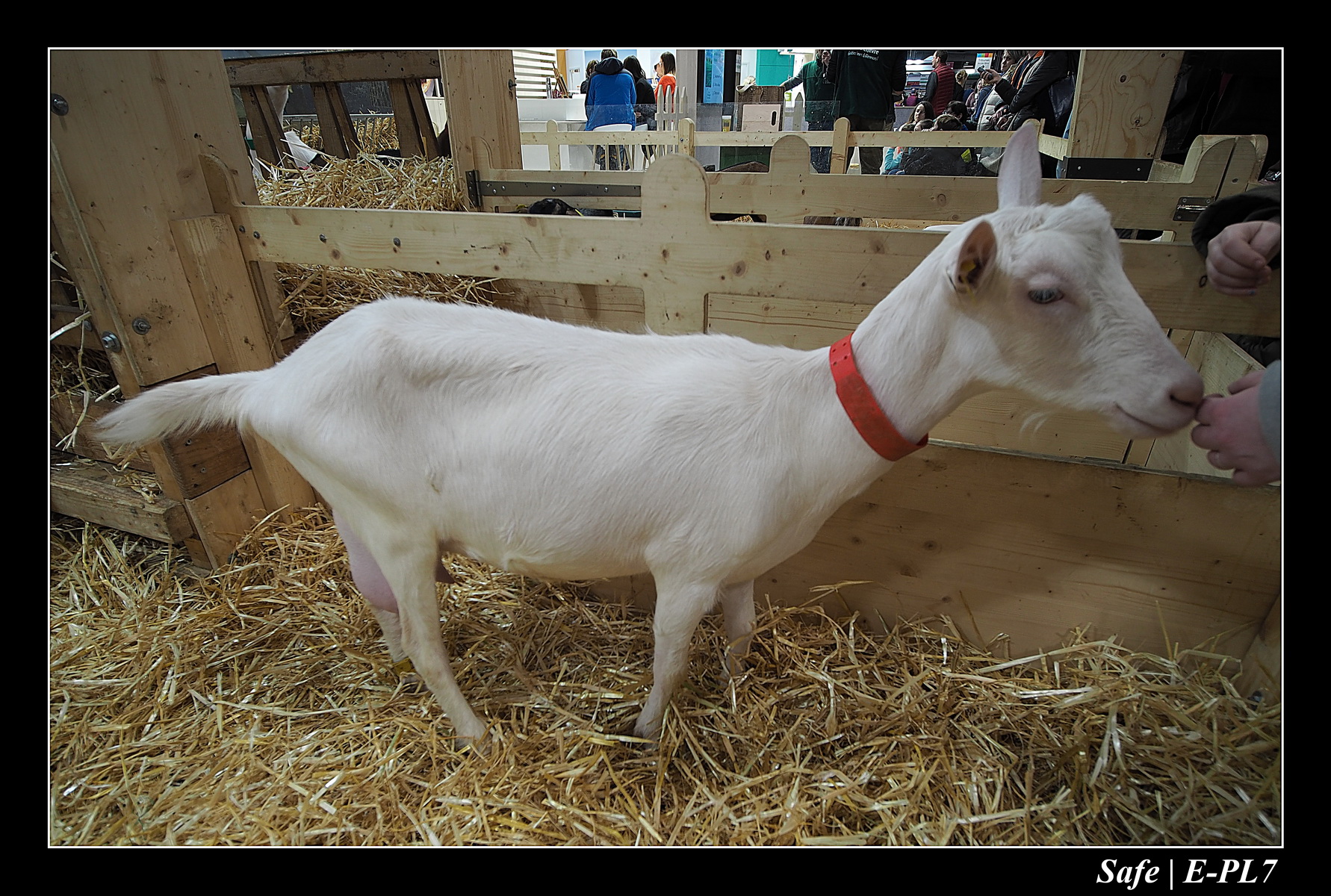 2020 - 02 - Salon agriculture 62